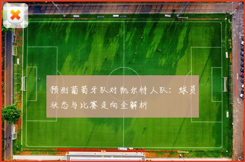 预测葡萄牙队对凯尔特人队：球员状态与比赛走向全解析